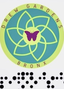 DG